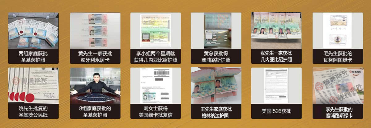 护照案例