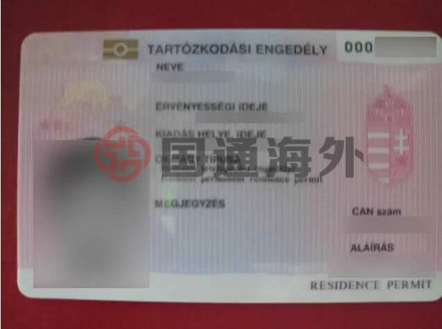 为孩子享受更好的教育顺利移民匈牙利